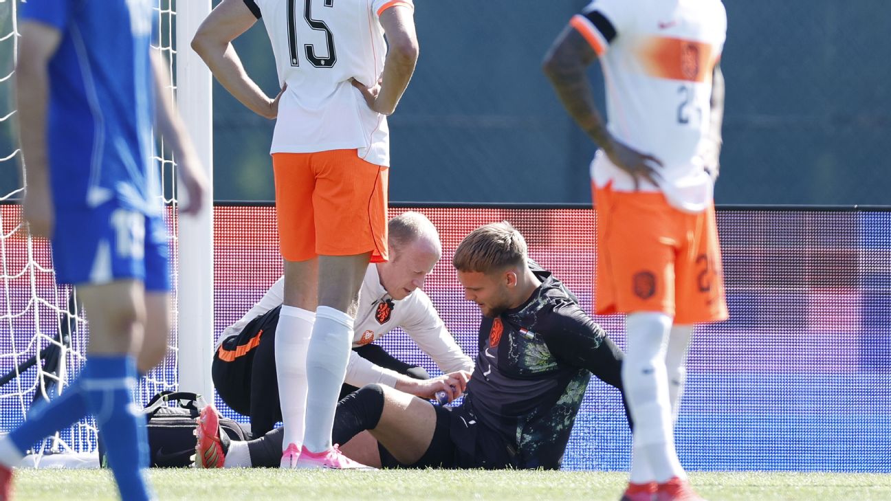 荷兰门将维布鲁根伤情未明 世界杯首战日本存变数